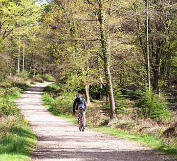 new forest road cycle routes Online 