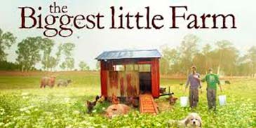 Niggest Little Farm
