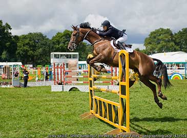 Show Jumping in the West Ring, New Forest Show
